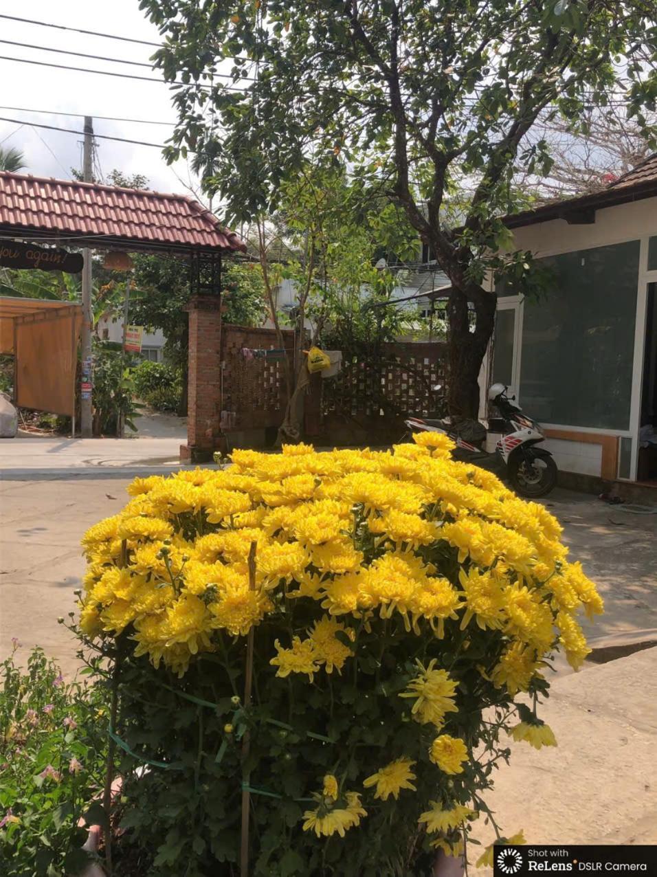 Gecko House Hotel Phu Quoc Luaran gambar